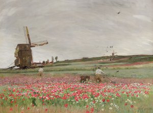 Champ de coquelicots, 1886